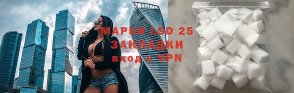 ГАЛЛЮЦИНОГЕННЫЕ ГРИБЫ Аркадак