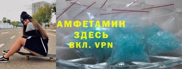 ГАЛЛЮЦИНОГЕННЫЕ ГРИБЫ Аркадак