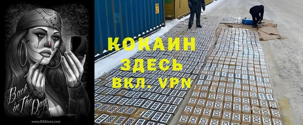 эйфоретик Арсеньев