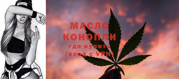эйфоретик Арсеньев