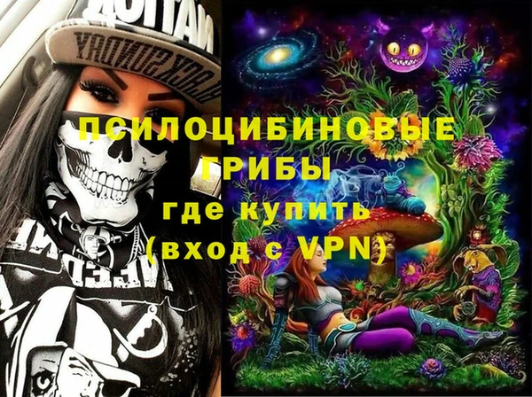 ГАЛЛЮЦИНОГЕННЫЕ ГРИБЫ Аркадак