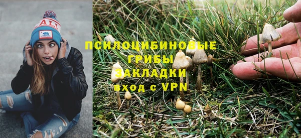 марки nbome Гусев