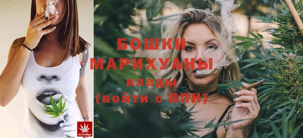 прущие грибы Гусь-Хрустальный