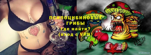 эйфоретик Арсеньев