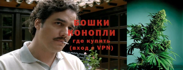 эйфоретик Арсеньев